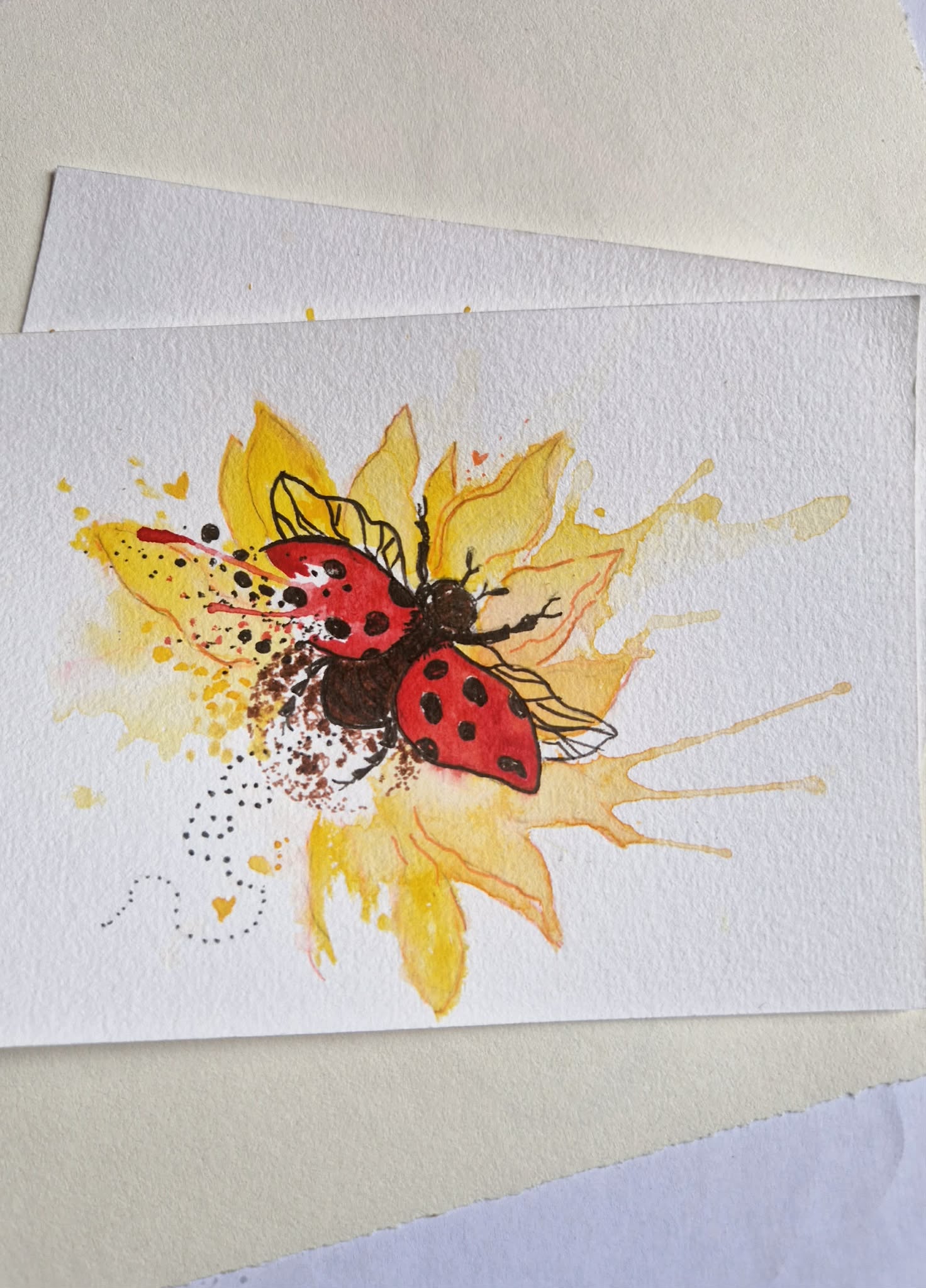 La Coccinelle & le Tournesol