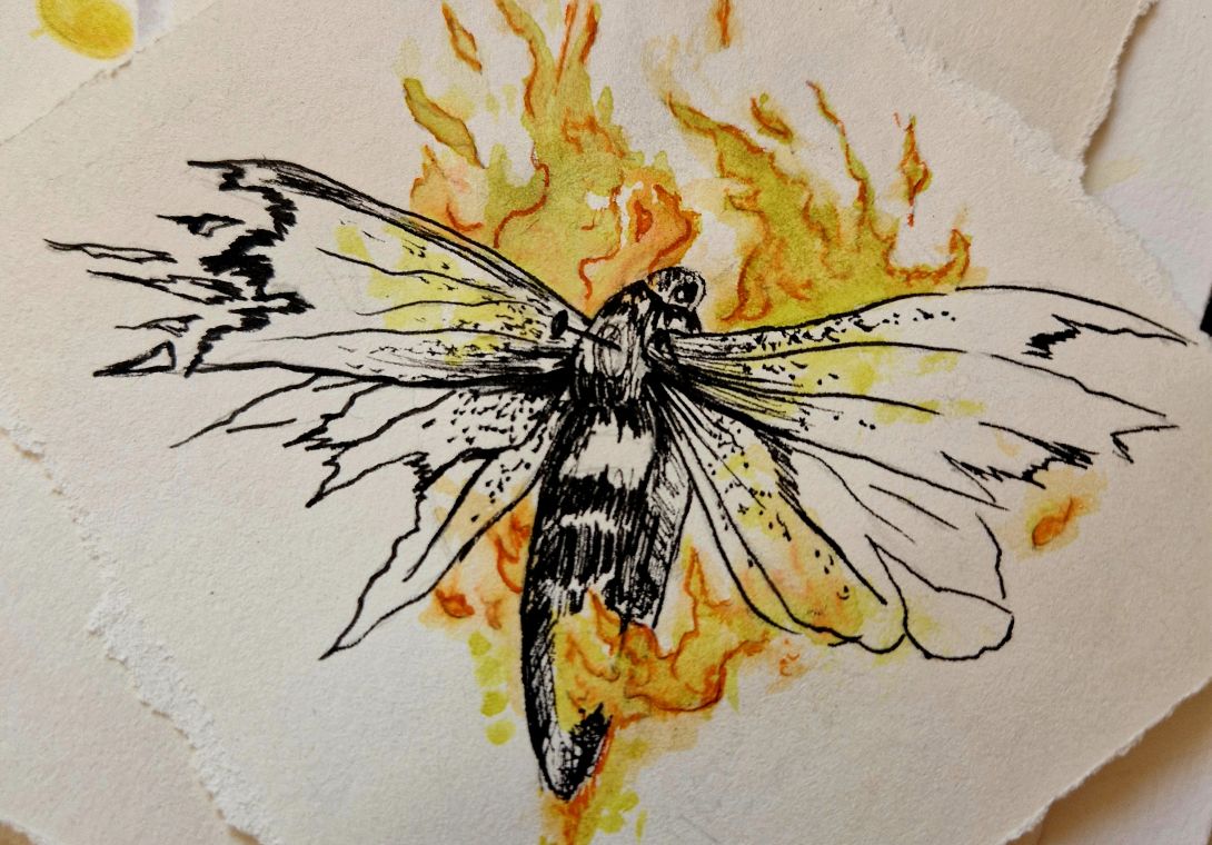 La Métamorphose Enflammée