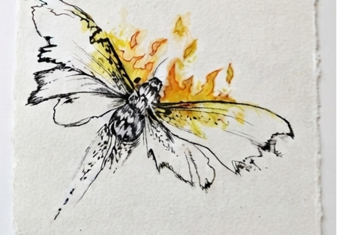 L’Âme du Sphinx de Feu
